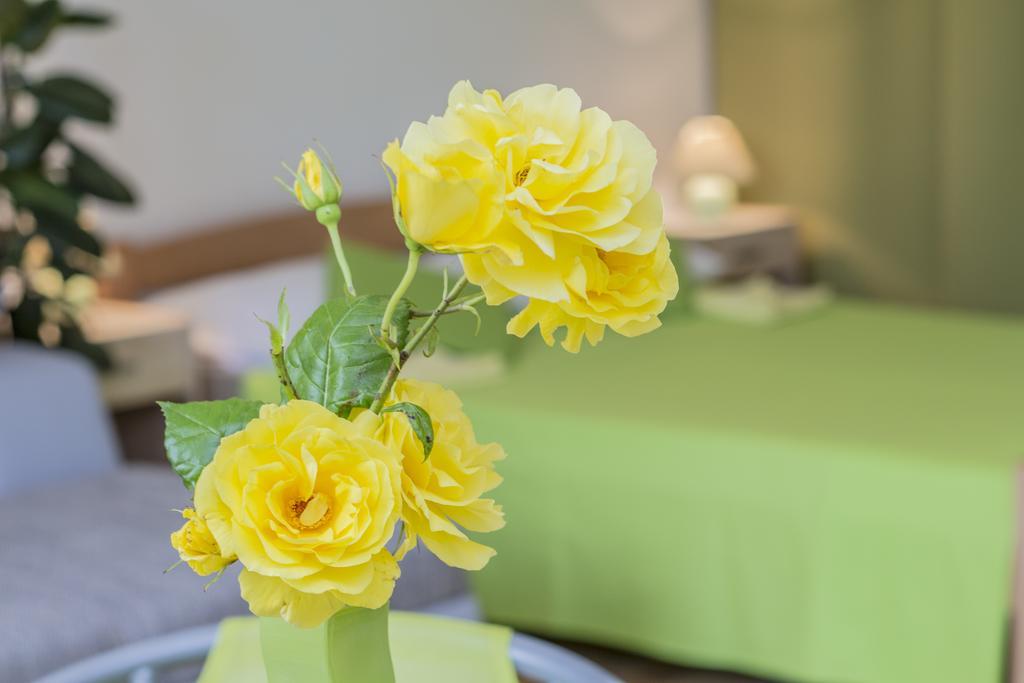 Pula Istria Apartments Ngoại thất bức ảnh