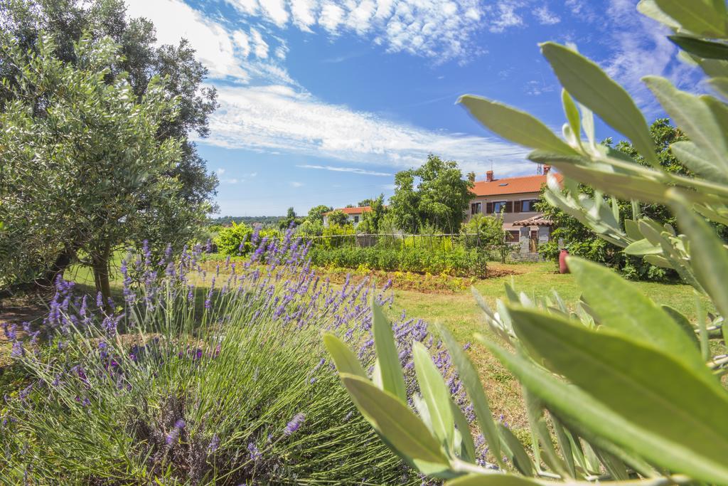 Pula Istria Apartments Ngoại thất bức ảnh
